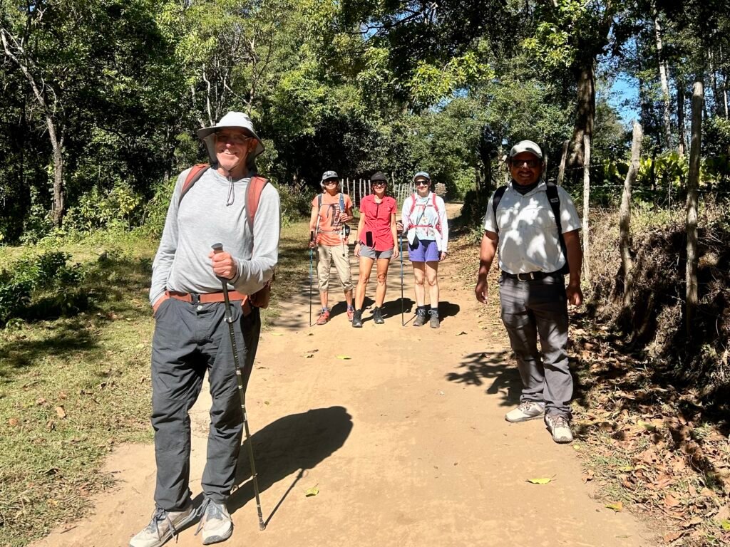 Group hiking a forest trail with a local guide