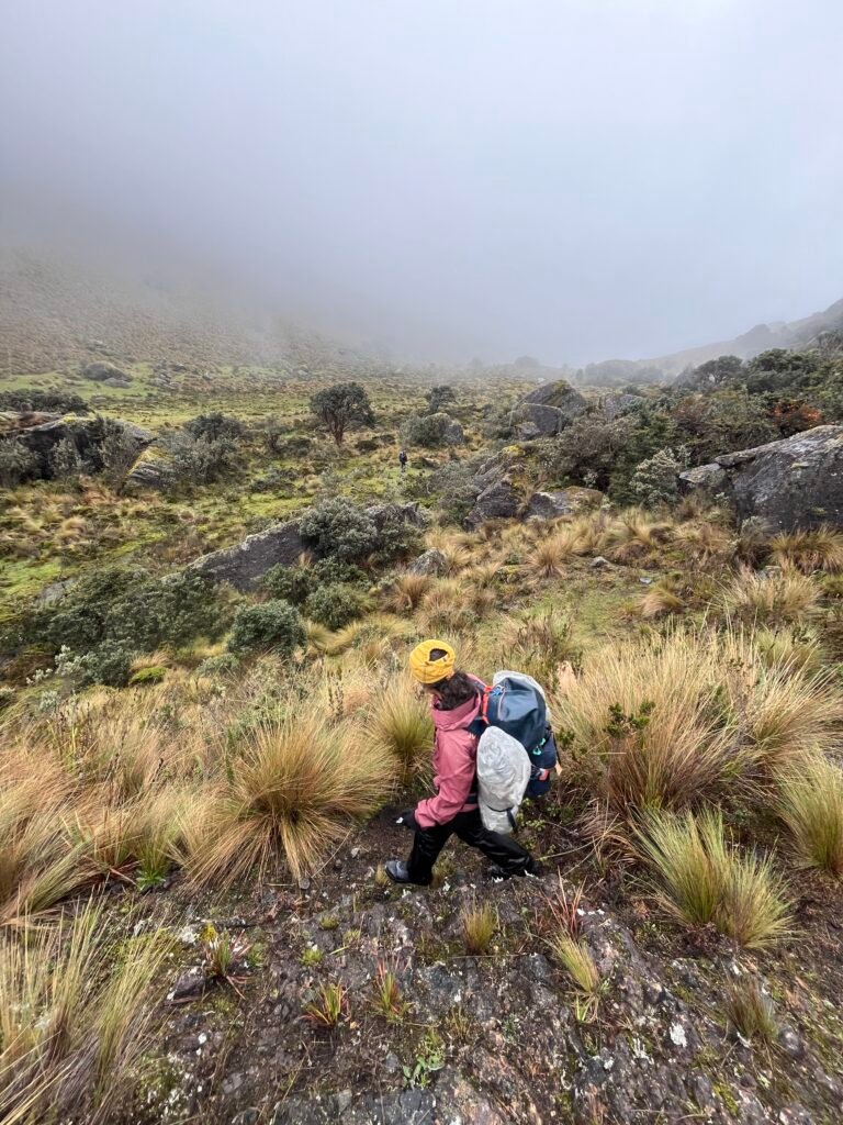 IMG_7645
